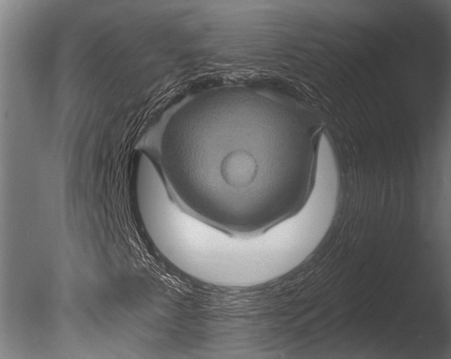 X0000085061345200703261153