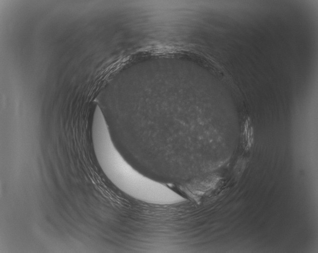 X0000085061348200703261153