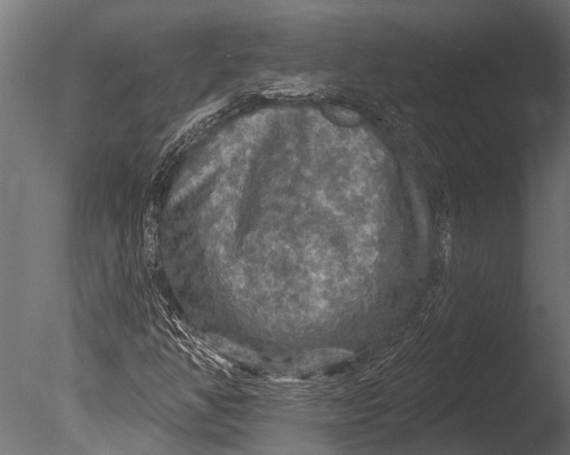 X0000085061350200703261153