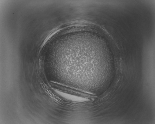 X0000085061352200703261153