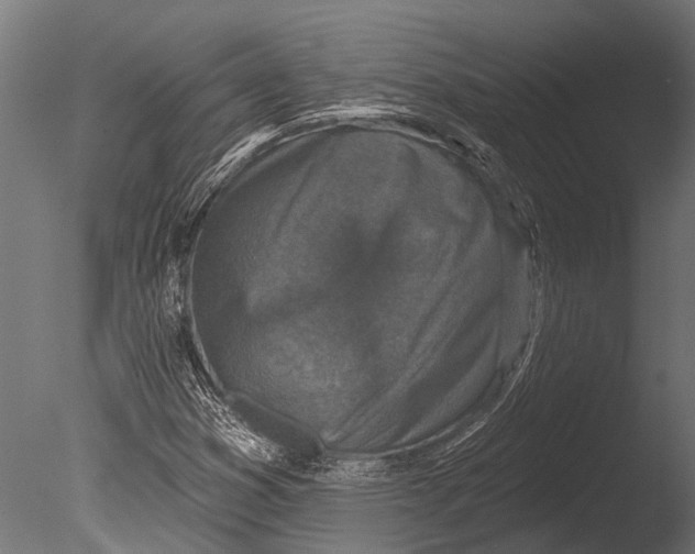 X0000085061353200703261153