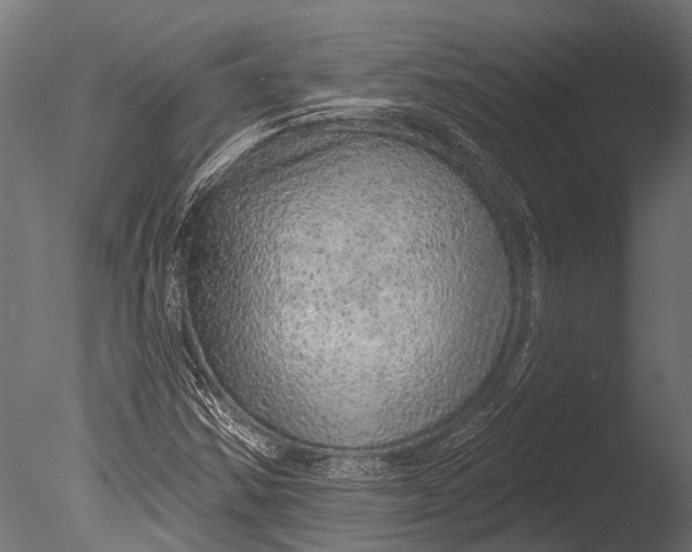 X0000085061354200703261153