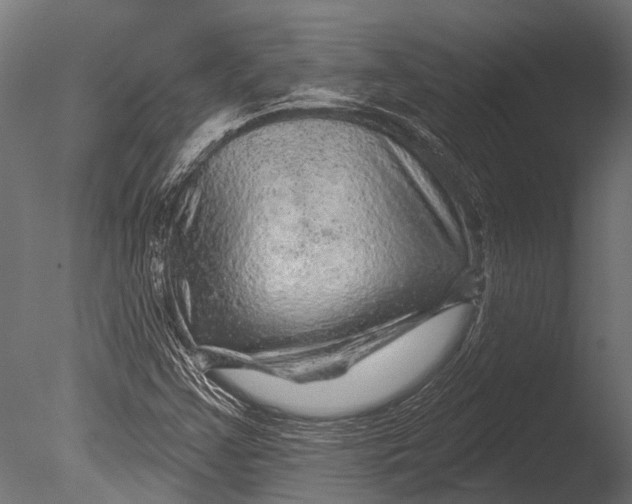 X0000085061355200703261153