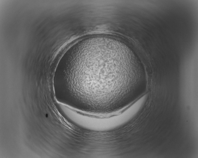 X0000085061356200703261153