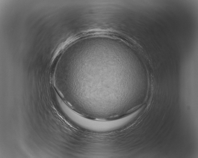 X0000085061357200703261153