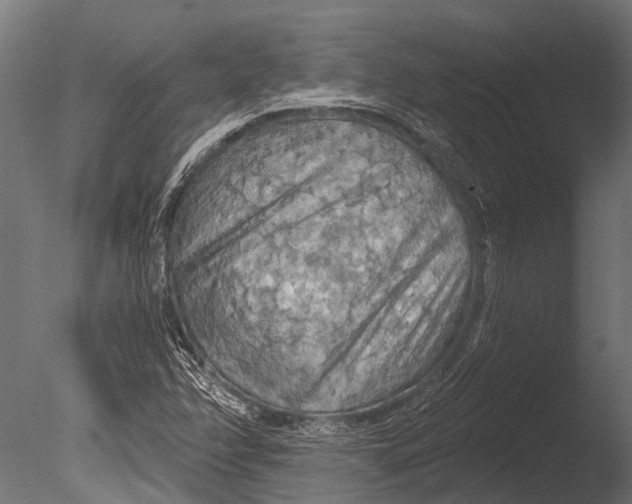 X0000085061358200703261153