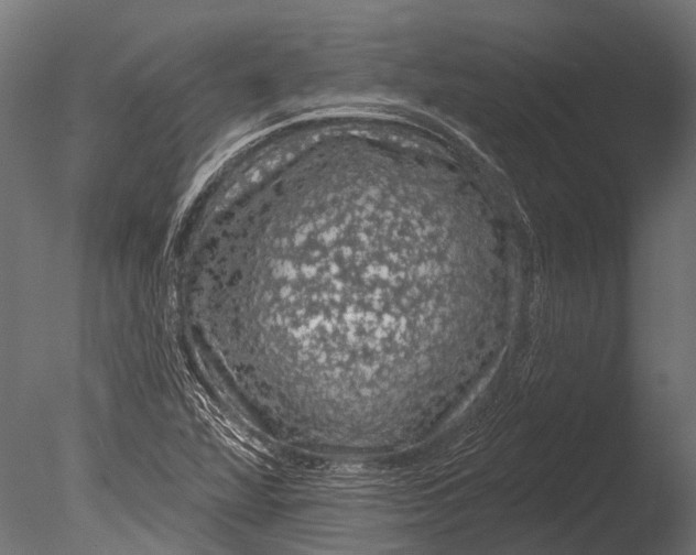 X0000085061360200703261153