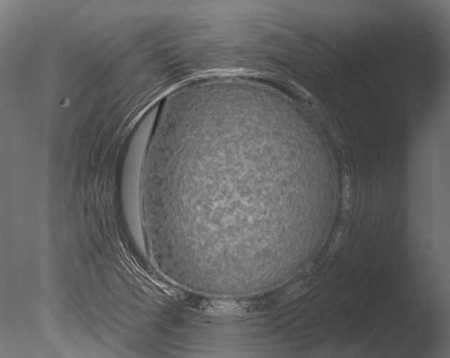 X0000085061361200703261153