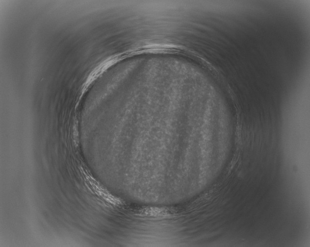 X0000085061362200703261153