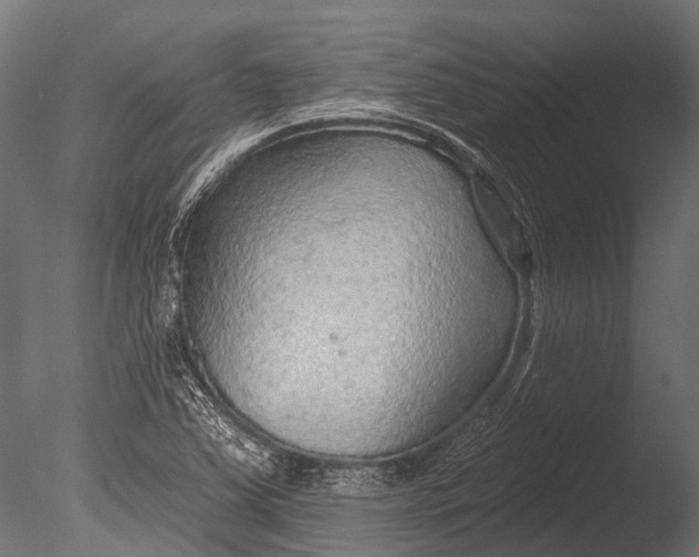 X0000085061363200703261153