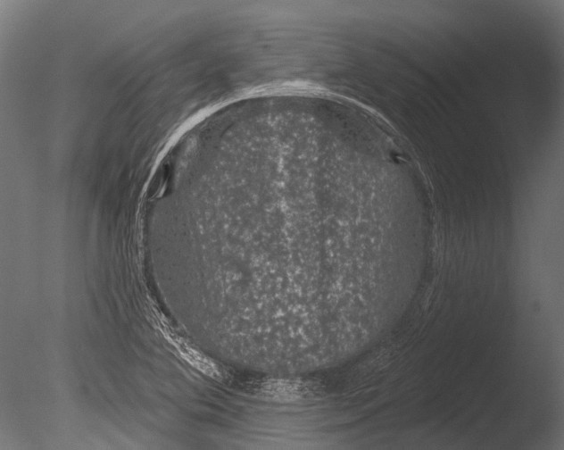 X0000085061364200703261153