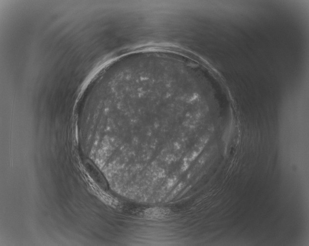 X0000085061368200703261153