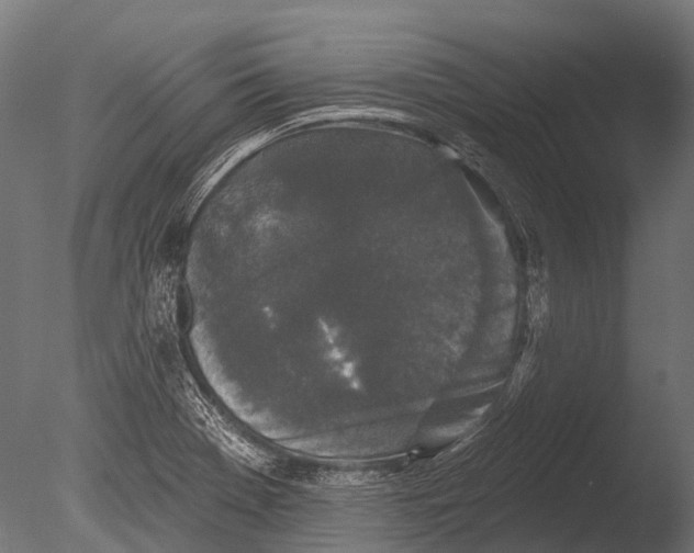 X0000085061369200703261153