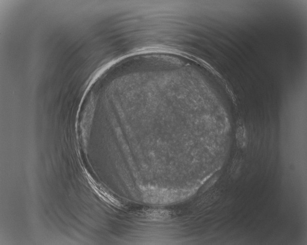 X0000085061372200703261153