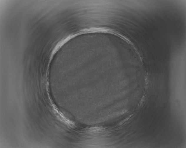 X0000085061373200703261153