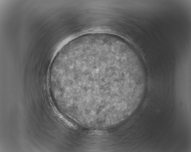 X0000085061374200703261153