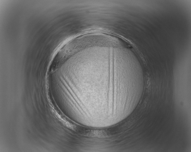 X0000085061375200703261153