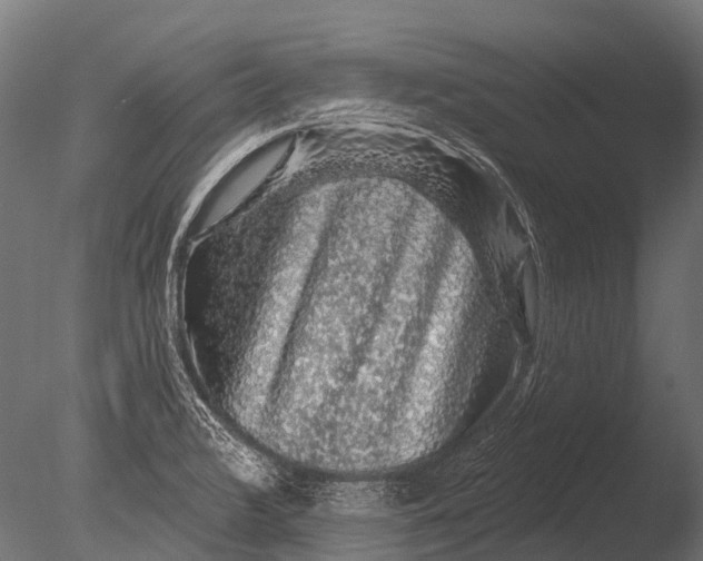 X0000085061376200703261153