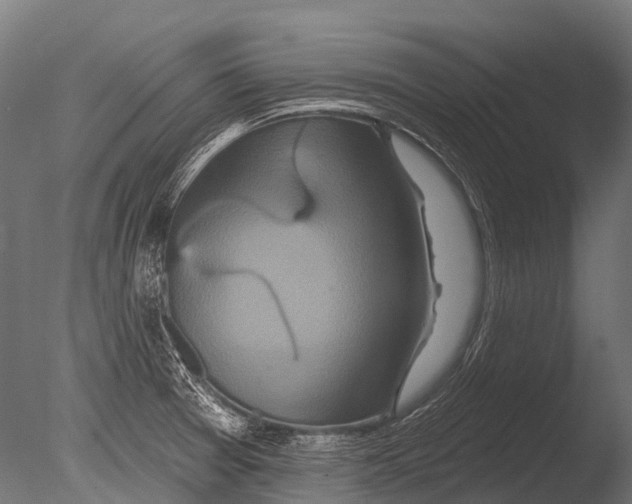 X0000085061377200703261153