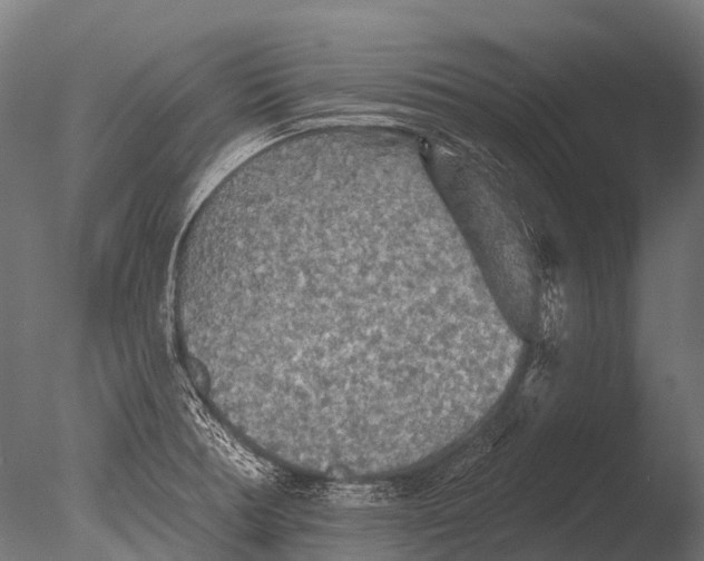 X0000085061378200703261153