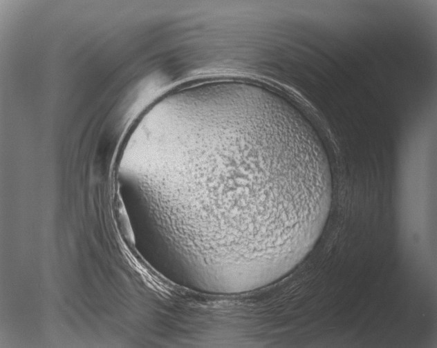 X0000085061380200703261153