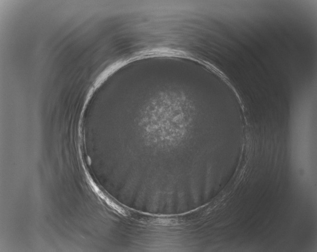 X0000085061381200703261153