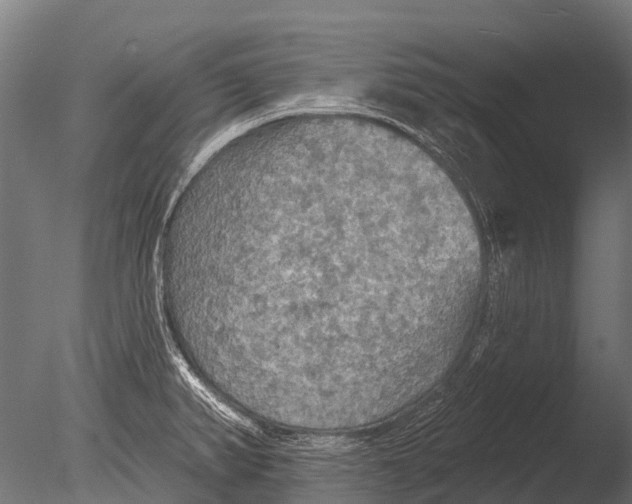 X0000085061382200703261153