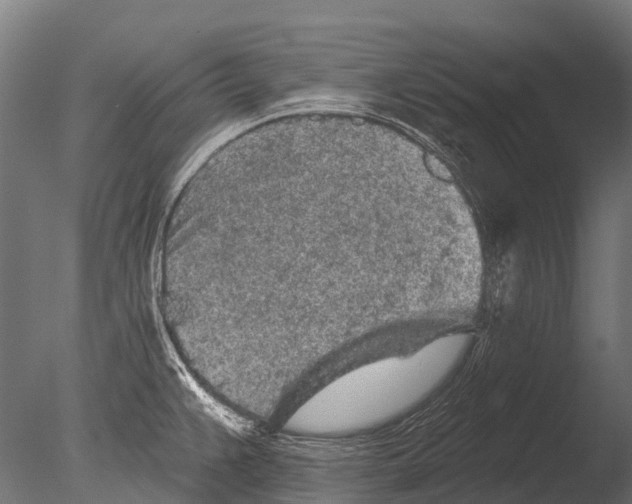 X0000085061383200703261153