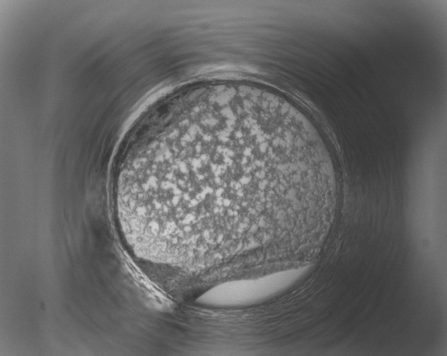 X0000085061384200703261153