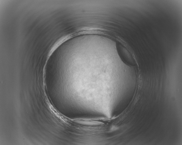 X0000085061386200703261153