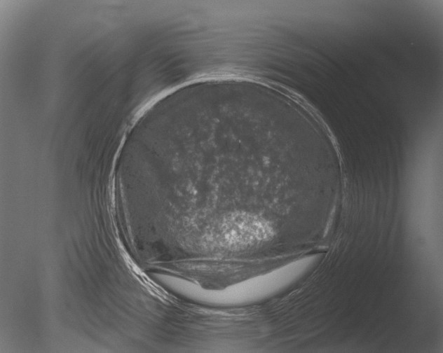 X0000085061388200703261153