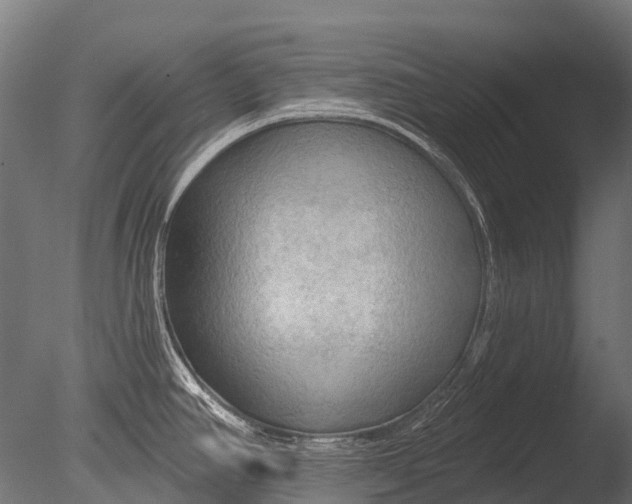 X0000085061390200703261153