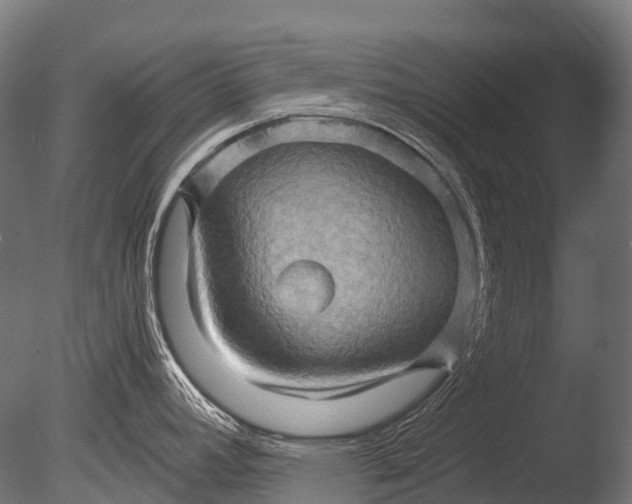 X0000085061392200703261153