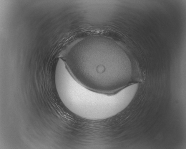 X0000085061394200703261152