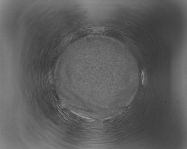 X0000085061395200703261152