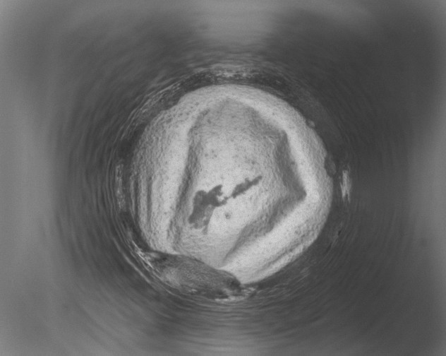 X0000085061396200703261152