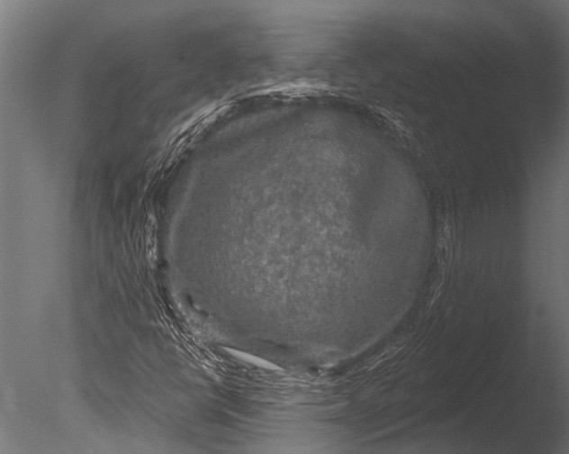 X0000085061398200703261152