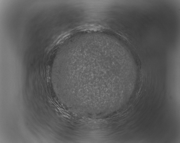 X0000085061399200703261152