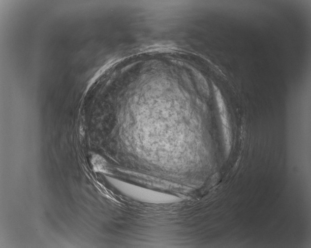 X0000085061400200703261152