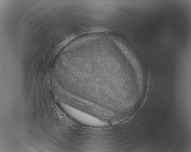 X0000085061401200703261152