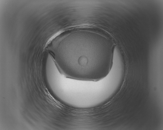 X0000085061402200703261152