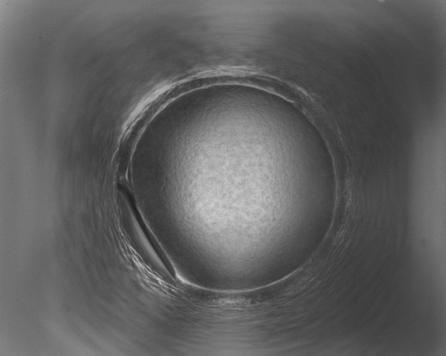 X0000085061406200703261152