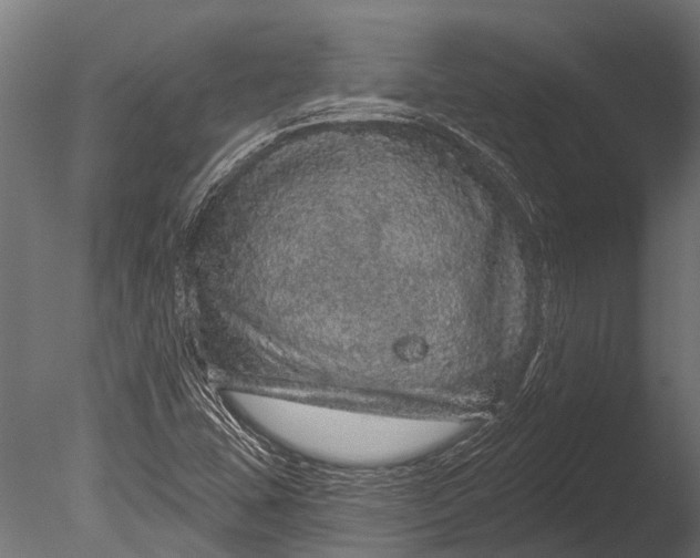 X0000085061407200703261152