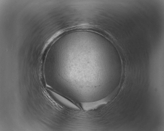 X0000085061410200703261152