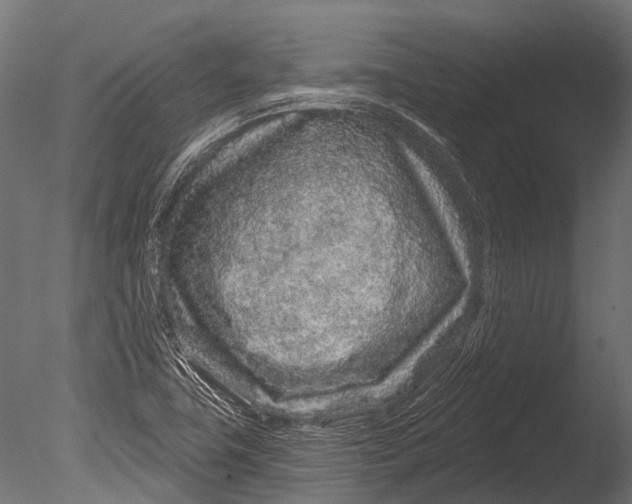 X0000085061411200703261152