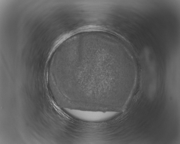 X0000085061413200703261152