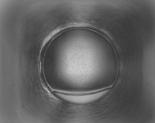 X0000085061414200703261152