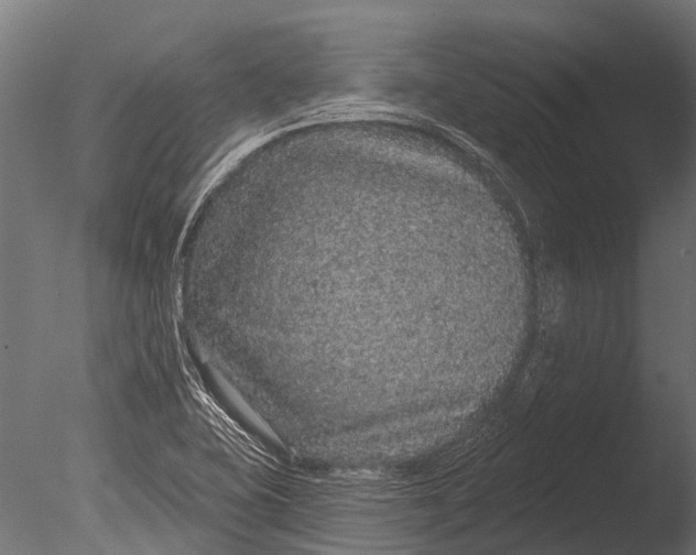 X0000085061415200703261152