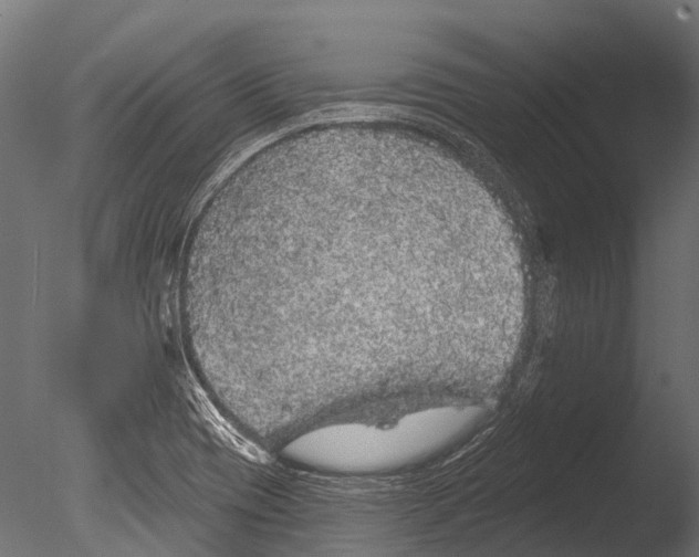 X0000085061417200703261152