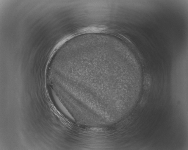 X0000085061419200703261152